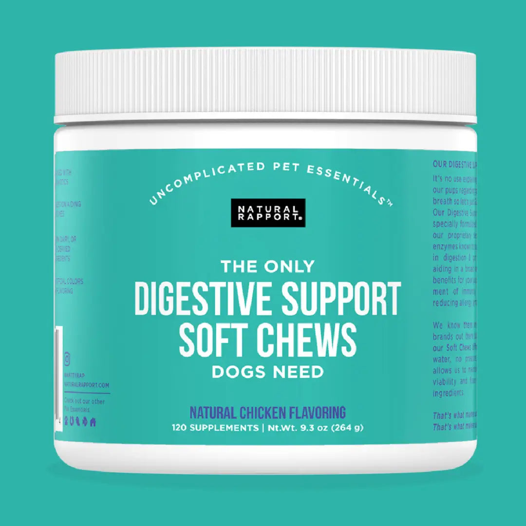The Only Digestive Support Soft Chews Dogs Need